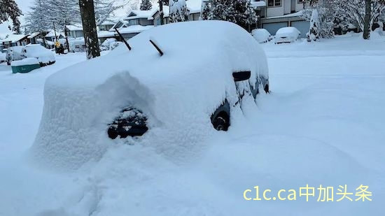 海陆空交通全瘫-温哥华被40cm雪埋了!