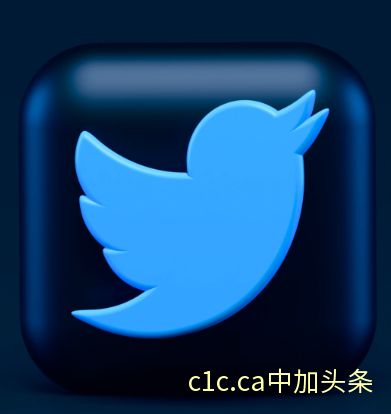 Twitter 源代码 遭员工泄露