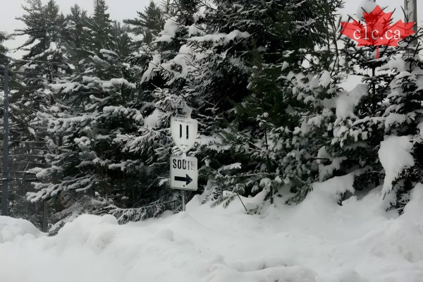 暴风雪警告！安省南部地区今天可能迎来高达60厘降雪