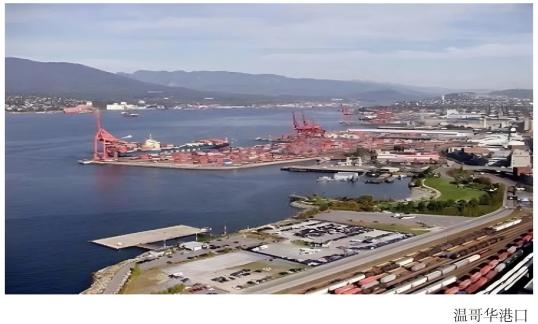 5075630c91f0ef937e98962e1cd63f05.jpg 5075630c91f0ef937e98962e1cd63f05.jpg