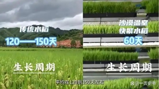 42a98226cffc1e17d4d06384a7962a0d738de92a.jpg 42a98226cffc1e17d4d06384a7962a0d738de92a.jpg