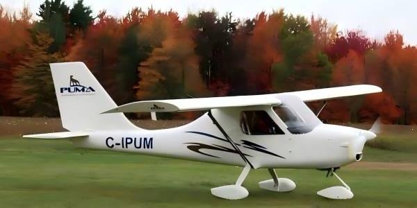 加拿大轻型飞机制造项目希望落地中国（意向80架飞机返销)