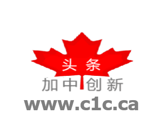 How to use ChatGPT to learn a language